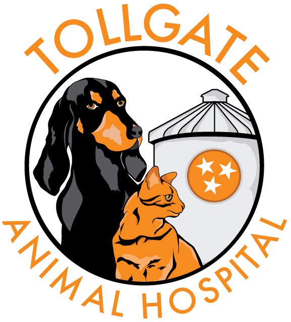 Tollgate Animal Hospital